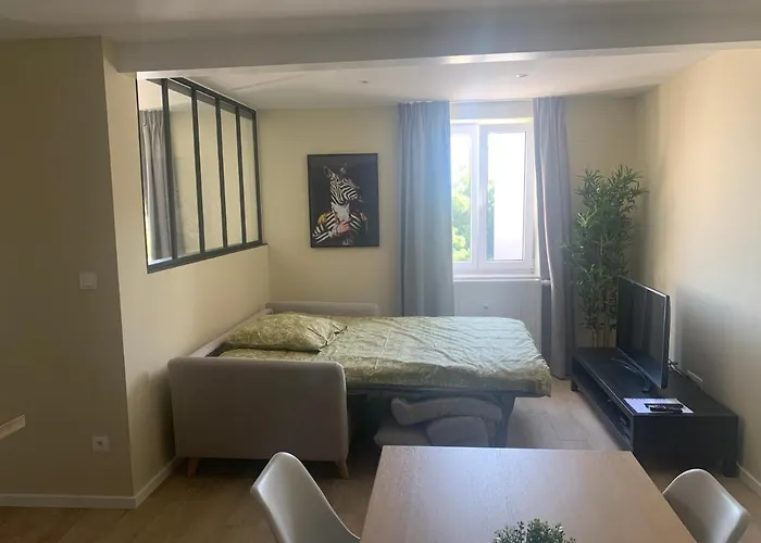 Appartement Ena 3 Pieces Neuf Entre Centre Et Gare Straatsburg